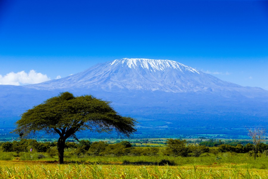 Kilimanjaro : comment préparer votre ascension ?