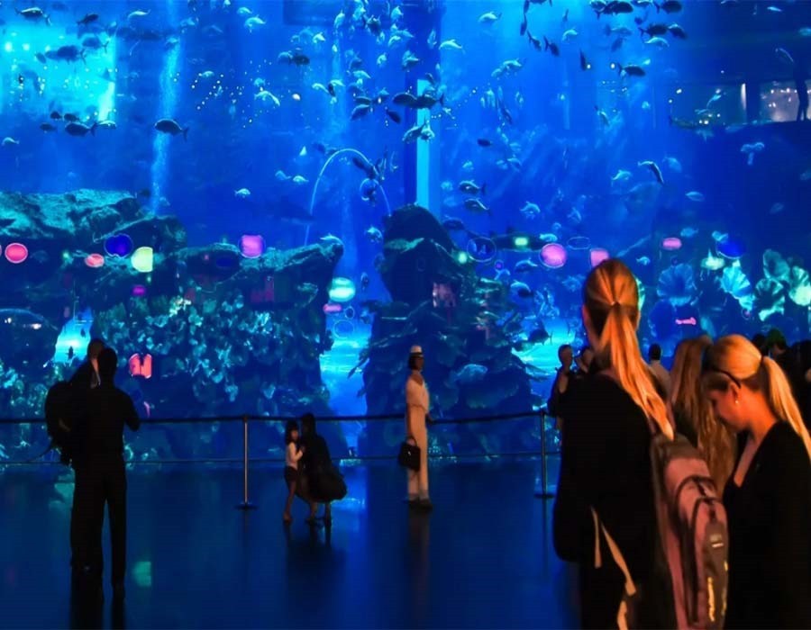 Pourquoi l'aquarium de Dubaï est-il une attraction incontournable ?