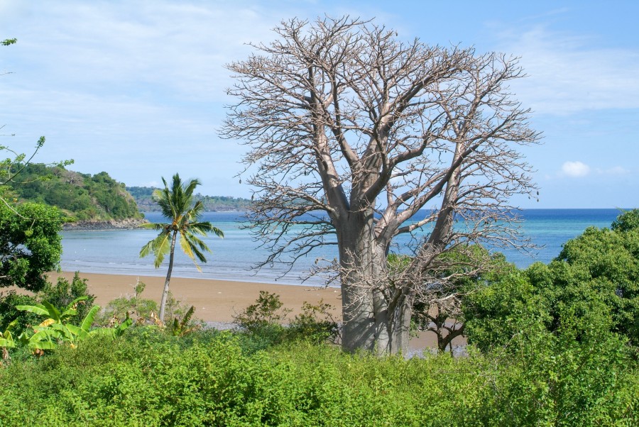 Est-il dangereux de vivre à Mayotte ?