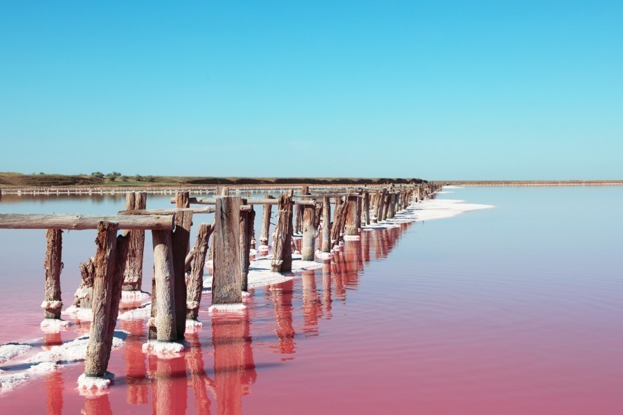 Quelles sont les activités à faire autour du Lac Rose en Australie ?