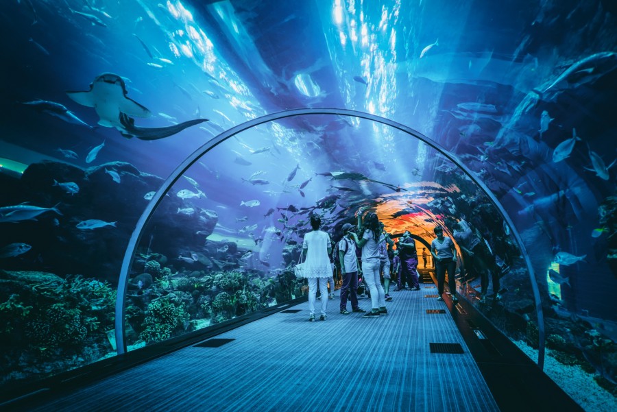 Quelles sont les activités proposées aux enfants à l'aquarium de Dubaï ?