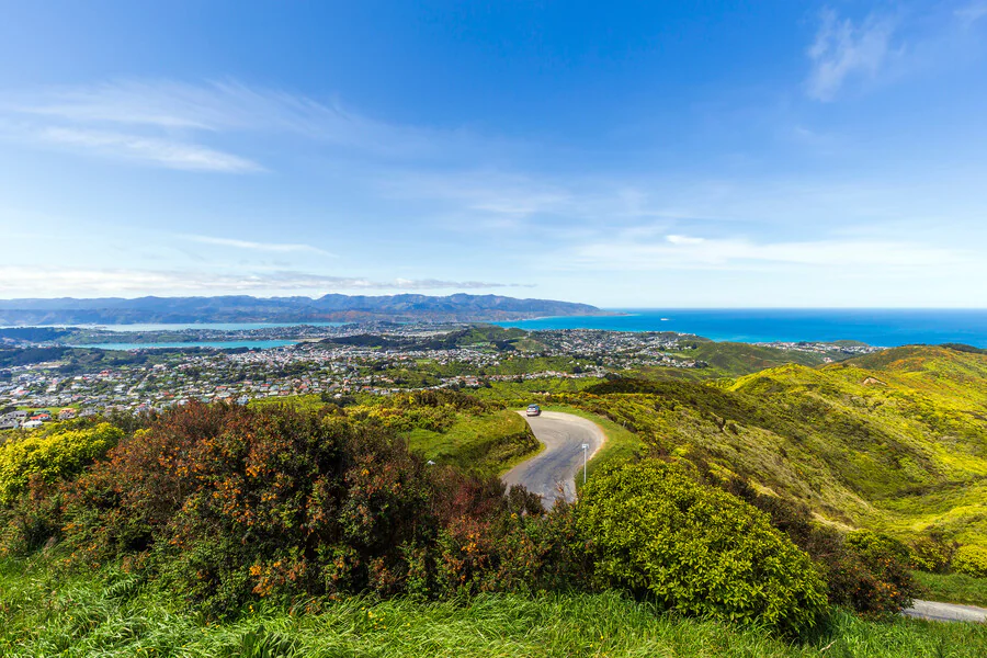 Quels sont les activités en plein air à pratiquer à Wellington et ses environs ?