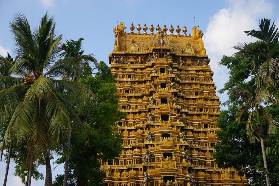 Voyage au coeur de Jaffna au Sri Lanka